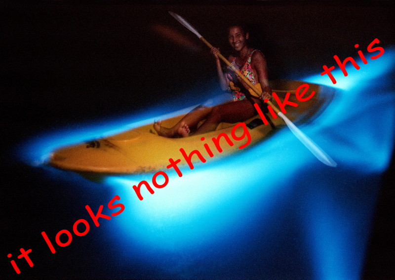 Illustration for article titled A few pics from my vacation